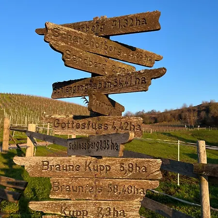 Saarwein Gut In Appartement Wiltingen