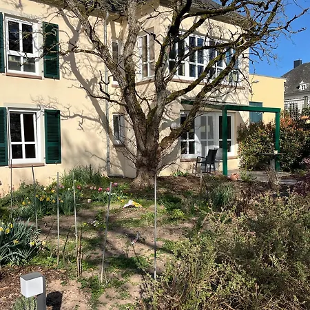 Apartment Saarwein Gut In