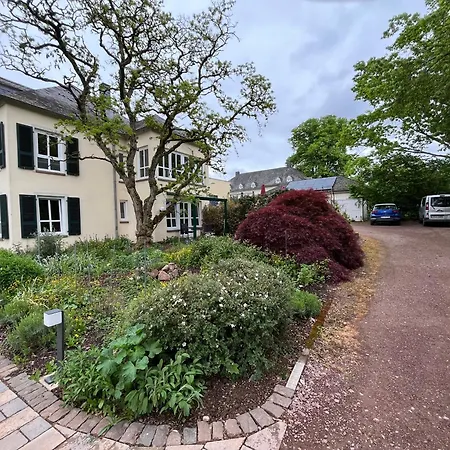 Apartment Saarwein Gut In *