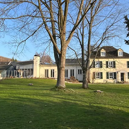 Apartment Saarwein Gut In Wiltingen
