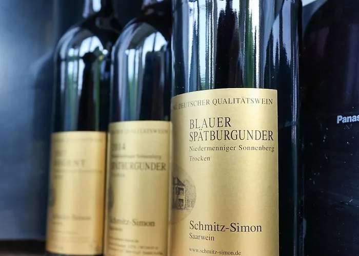 Saarwein Gut In Apartamento Wiltingen