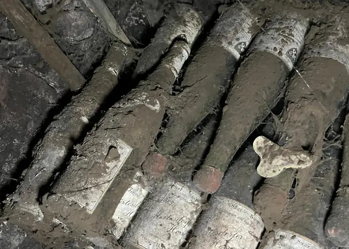 Saarwein Gut In Apartamento *